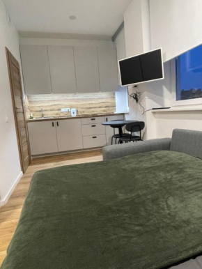 Airport Apartment 32 self check-In Free Parking Vilnius